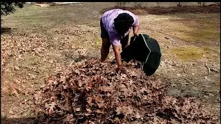 STOP THROWING AWAY YOUR YARD WASTE// DO THIS INSTEAD