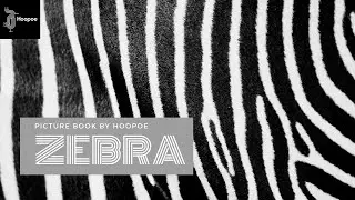 Story# 5 | ZEBRA | Picture Book Story | Under 6 Reading #hoopoe #hoopoeenglish #english