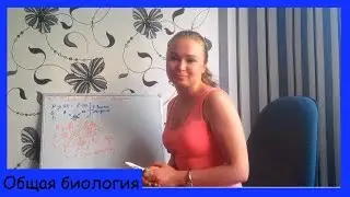 Второй закон Менделя. Пример типичной задачи.