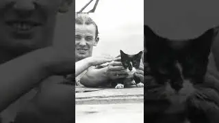 Легендарный кот Саймон на войне 