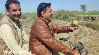Nosharo Abro to Wadha Khear to Mirzapur