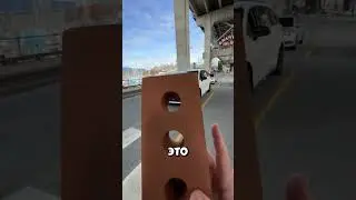 A sneaky way to cross the road in Canada 