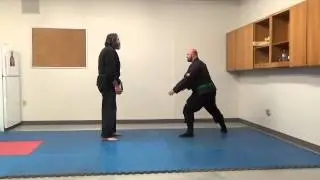 Kihon Happo Flow Drills