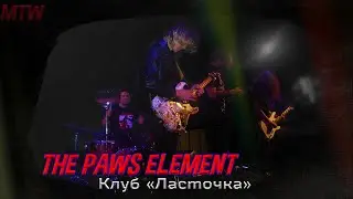 THE PAWS ELEMENT ЛАСТОЧКА✅ #фурри #концерт #музыка