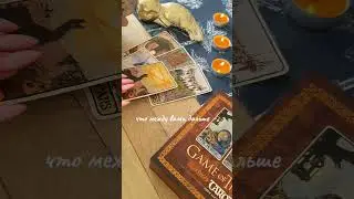 что же между вами #никкиами