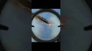 What The Ball Turret Gunner's POV could look like in War Thunder #warthunder #edit #b17