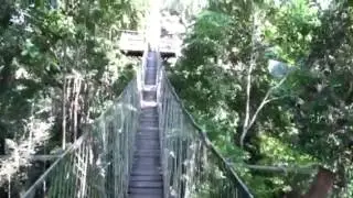 Shai crossing a too long too high canopy