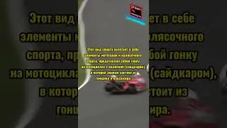 Сайдкар гонки (sidecar) 