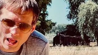 American Greed (Official Music Video) MrMcGreedy Music 2025