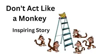 Don't Act Like a Monkey |  Inspiring Story