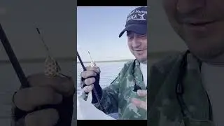 Момстры озера улагачь 