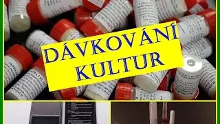 Dávkování mlékárenských  kultur do mléka