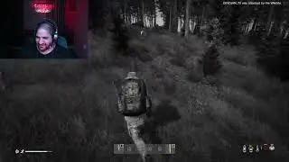 бой с мишкой