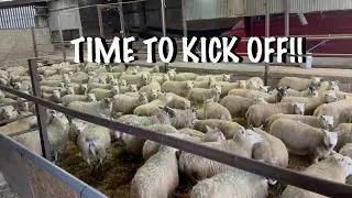 IT'S ABOUT TO GET BUSY!!