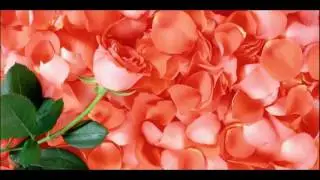DIY Rosewater & Glycerin Spray How To Prepare And Use At Home