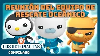 Los Octonautas - 🐻‍❄️😼🐧 ¡Reunión del equipo de rescate oceánico! 🌊 | Episodios Completos | Compilado