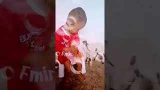 Anak Kecil Nyaris Digerogoti Kambing