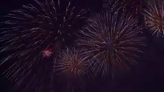 Косовски божури - Јелена Томашевић