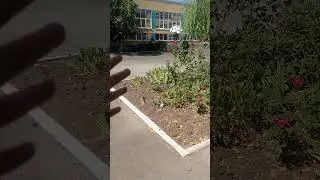 Лето покинуло нас 😭😭