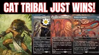 CATS... BROKEN!? - Best Tribal Deck MTG Foundations