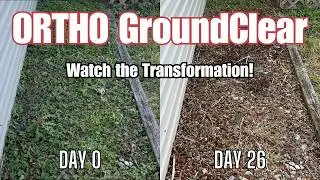 Ortho GroundClear: Ultimate Weed Killer Review