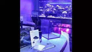 Rico's nano challenge 2018