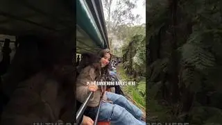 Harry Potter Forest TRAIN RIDE 🧙‍♀️