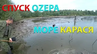 СПУСК ОZЕРА =МНОГО КАРАСЯ = ОТЛОВ РЫБЫ 3 день