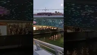 I Light 2023 Aquatics 3D Animation Moving Display Of Underwater Sea Creatures Fishes Swimming In Sea