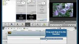 How to add credits to your video using AVS Video Editor?