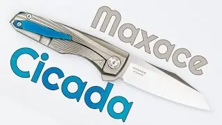Maxace Cicada - Lovely Loaners