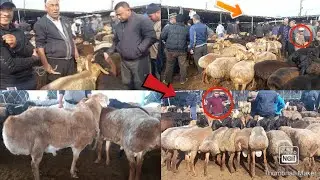 🇹🇯ПАРОДА АВГОНИ И ХИСОРИ ГУСФАНДХО  ХУЧАНД МОЛБОЗОРИ ХУДЖАНД