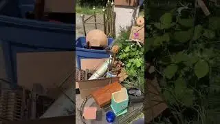 When the sign says "free to a good home..." what do you do?