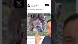 OLHA OQ O ELON MUSK FEZ 🤣 #tecnologia #twitter #x #elonmusk