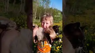 труд он такой 😉
