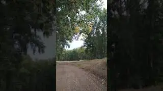 Прогулка Мелеуз Тополя высокие Пляж