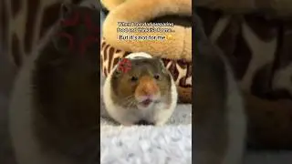 😠😂 
