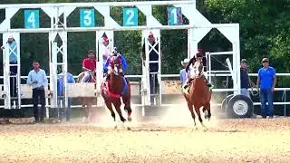 EL DELEGADO VS EL TONTO  275 YDS