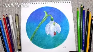 Как нарисовать подснежник - Рисунок акварельными карандашами