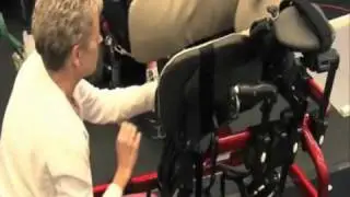 Pacer Gait Trainers 2