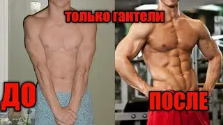 Как накачать массивные плечи гантелями? Смотри и узнаешь!