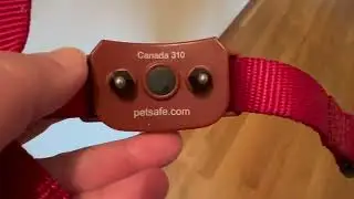 PetSafe Stay & Play Wireless Pet Fence for Stubborn Dogs, How quickly did PetSafe work for Boston Te