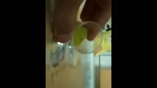 Заморозил лизуна
