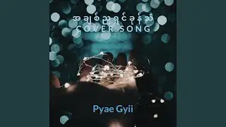 အချစ်ညရင်ခုန်သံ (Cover)