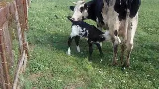 Счастливы вместе