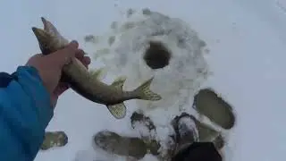 НЕ ЖРЕТ БАЛАНСИР - СТАВЬ БЕЗМОТЫЛКУ...