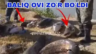 BALIQ OVI ZOʻR BOʻLDI