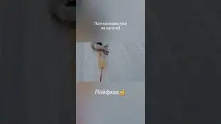 ЛайфХак N1 на Охоте 🐇