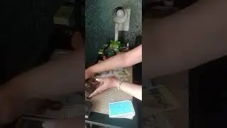 Ваш мужчина сегодня... беги форест,беги🤣🤣🤣🤣🤣