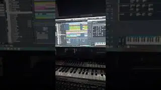 Nowy cubase 11, Nexus update. Disco workout 